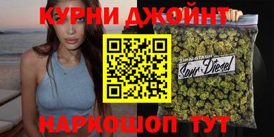 a pvp Кингисепп