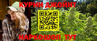 a pvp Кингисепп
