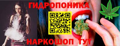a pvp Кингисепп
