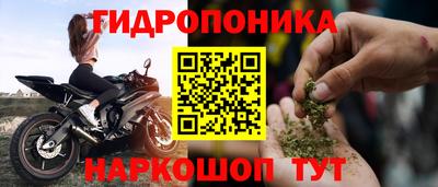a pvp Кингисепп
