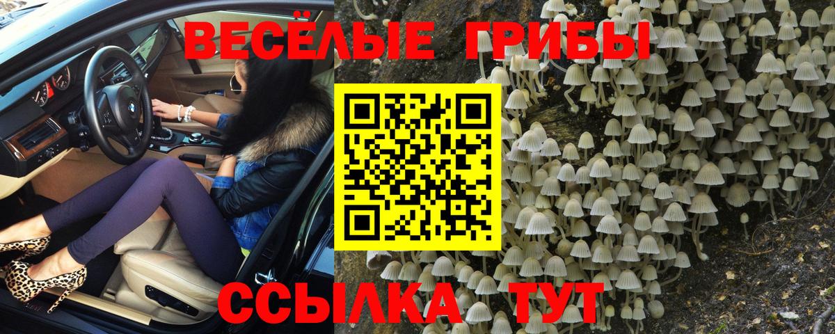Галлюциногенные грибы мицелий  Вход с VPN  Лабытнанги 
